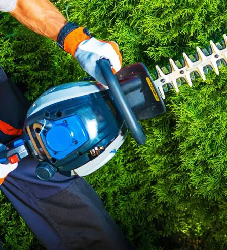 A person with gloves on holding an electric hedge trimmer.